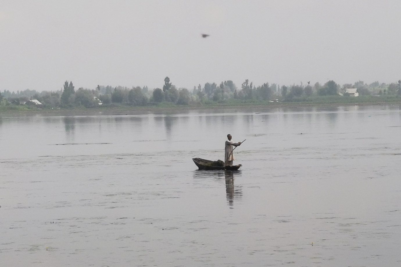 喀什米爾-斯利納加 Srinagar 達爾湖